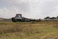 DSC04841